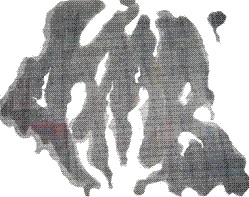 Chongtimeibian 11.jpg