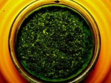 Gingagaruga Torturingnurse pestonirvana.jpg