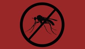 Shachonggongsi 11.jpg