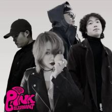 Fenhongsedaxiang 11.jpg