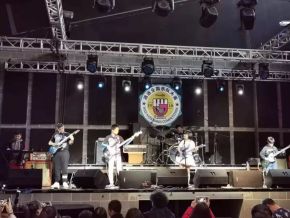 Pig(beijingshi) 11.jpg