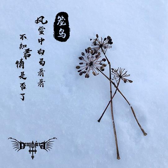 ファイル:Darkring chongniao.jpg