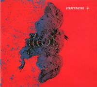 Birdstriking ia1uscd.jpg