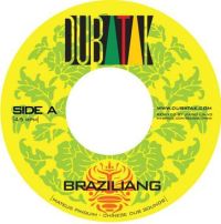 Jiangliangdeshengyinxitong braziling.jpg