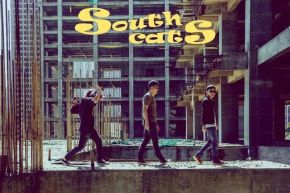Southcats 12.jpg
