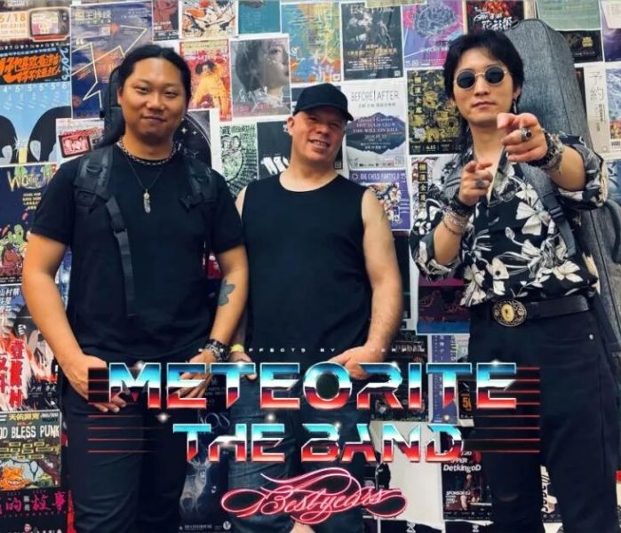 ファイル:Meteorite 13.jpg