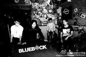 Blueback 11.jpg