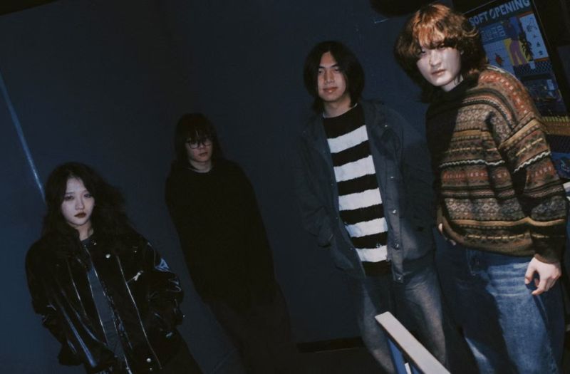 ファイル:Crazygrasses 11.jpg