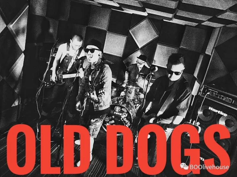 ファイル:Olddogs 11.jpg